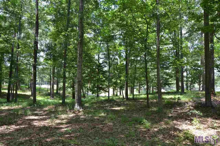 5804 Laurel Hill Ln, Saint Francisville, LA 70775 - #2