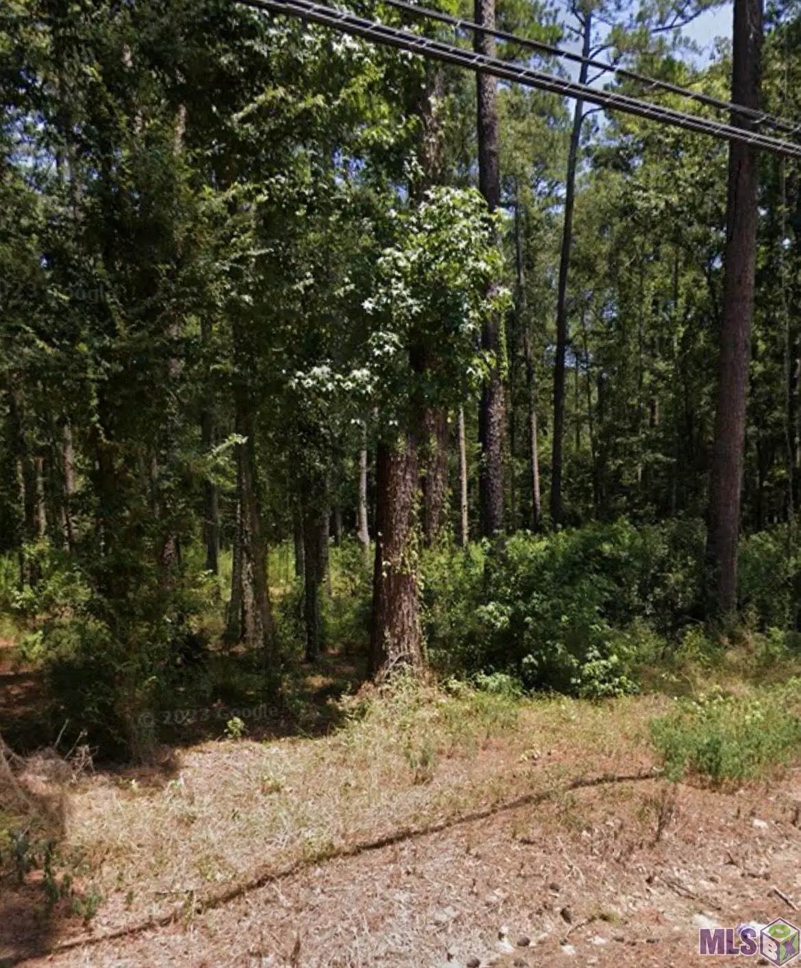 37153 Caraway Rd, Denham Springs, LA 70706 - #1