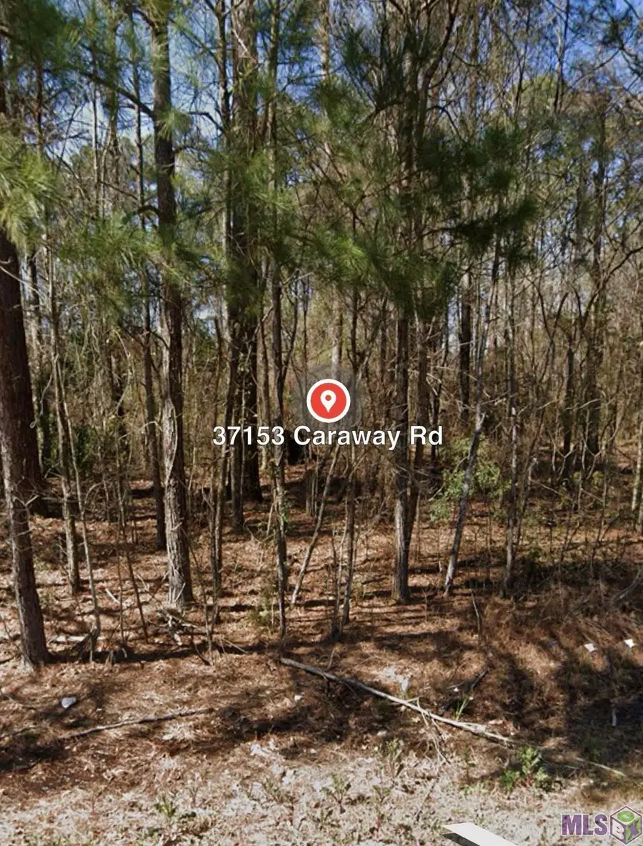 37153 Caraway Rd, Denham Springs, LA 70706 - #2