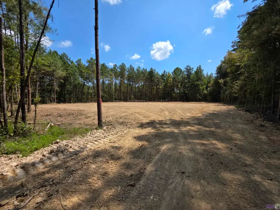 Lot 17 Honey Grove, Livingston, LA 70754 - Image #2
