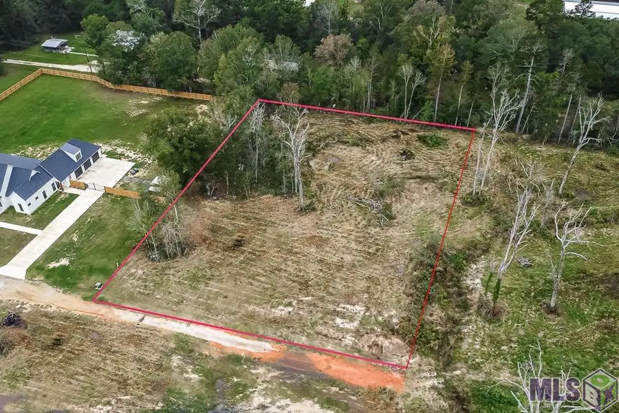 34079 Pasture 1024 Ln, Denham Springs, LA 70706 - Image #2