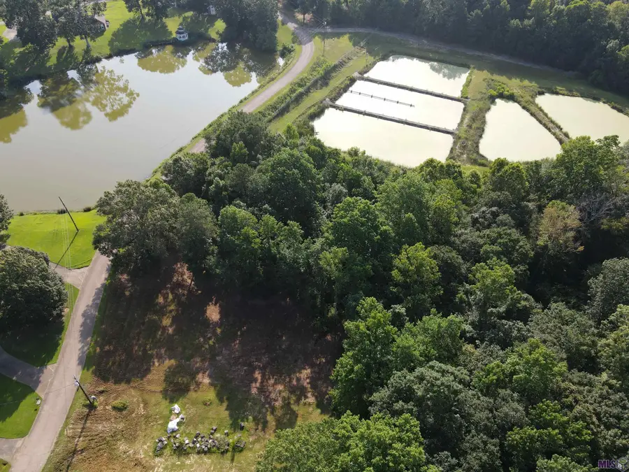 Lot 50 Treakle Dr, Zachary, LA 70791 - #2