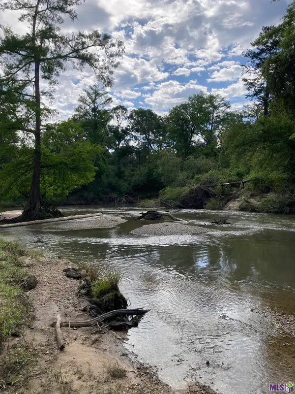 Tract R-1-B Hwy 43, Independence, LA 70443