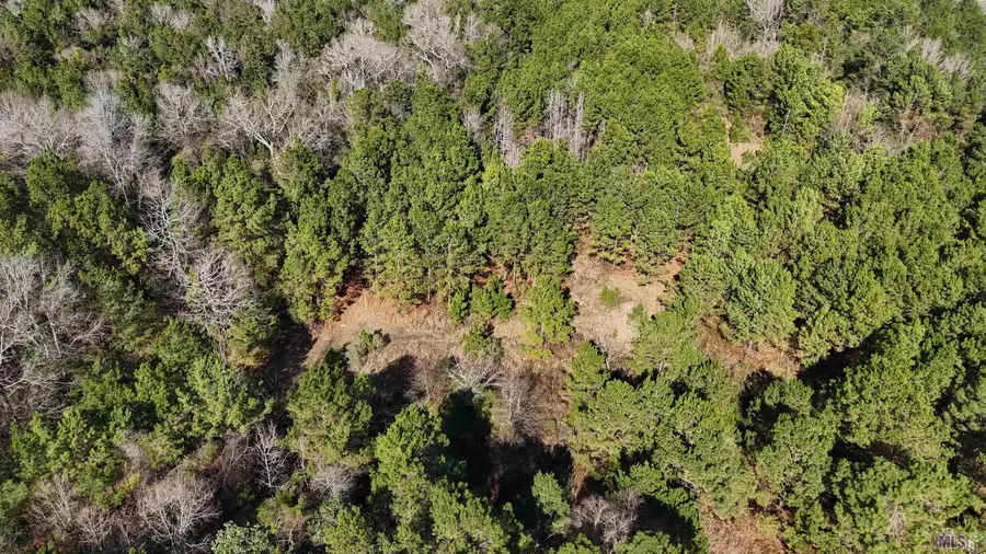 La Hwy 28 E, Boyce, LA 71409 - #3