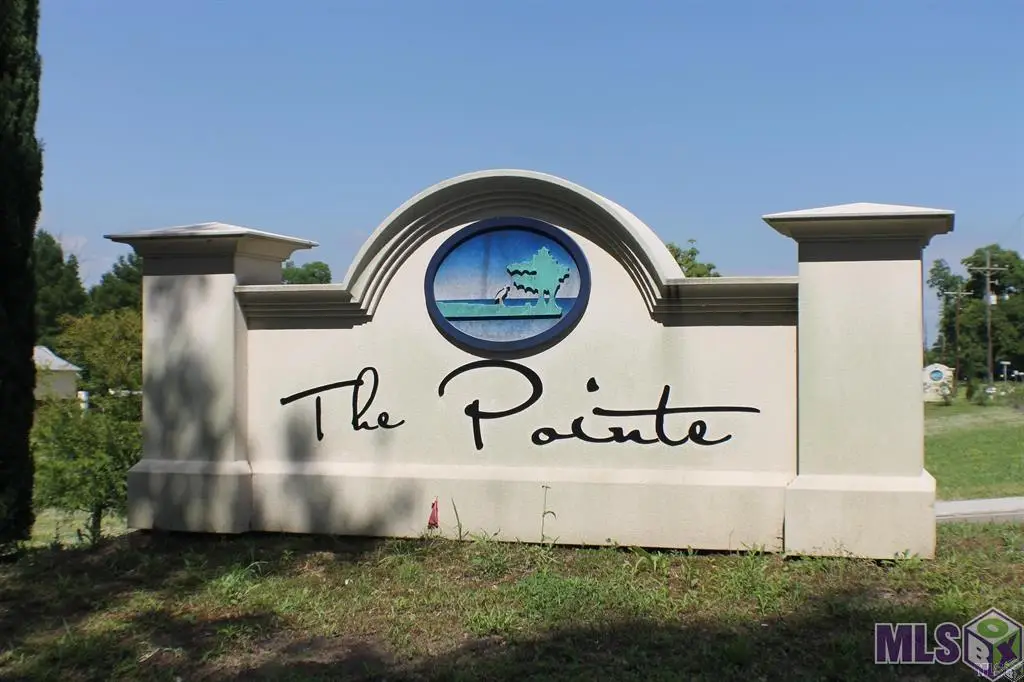 7772 Cutt Pointe Dr, Ventress, LA 70783 - #1