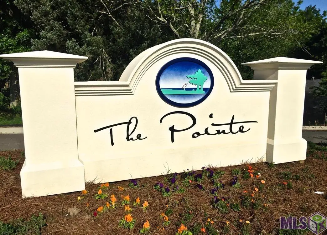 7702 Cutt Pointe Dr, Ventress, LA 70783 - #1