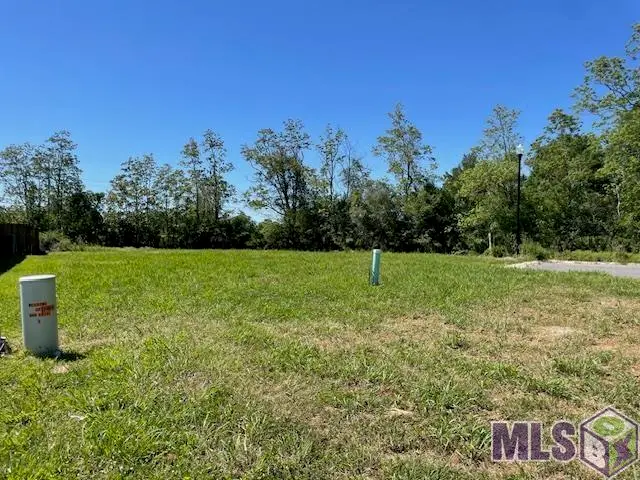 17457 Bull Rush Ave, Prairieville, LA 70769 - Image #3