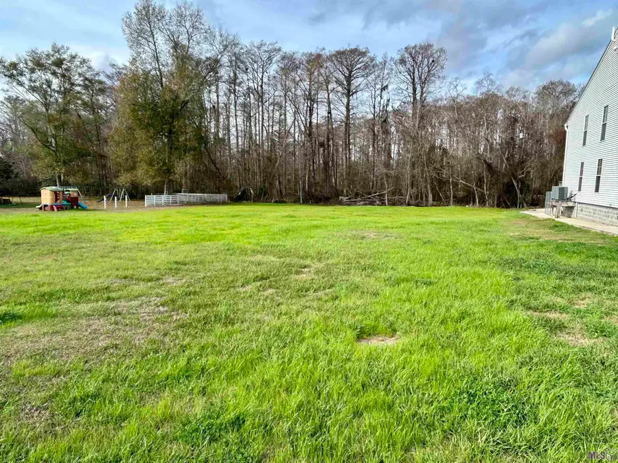 26265 Riverscape Dr, Springfield, LA 70462 - Image #2