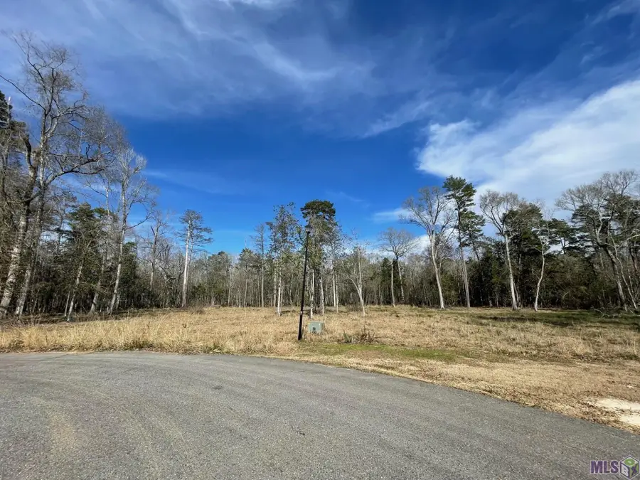 Lot 8 Ridgeway Ave, Denham Springs, LA 70726 - Image #3