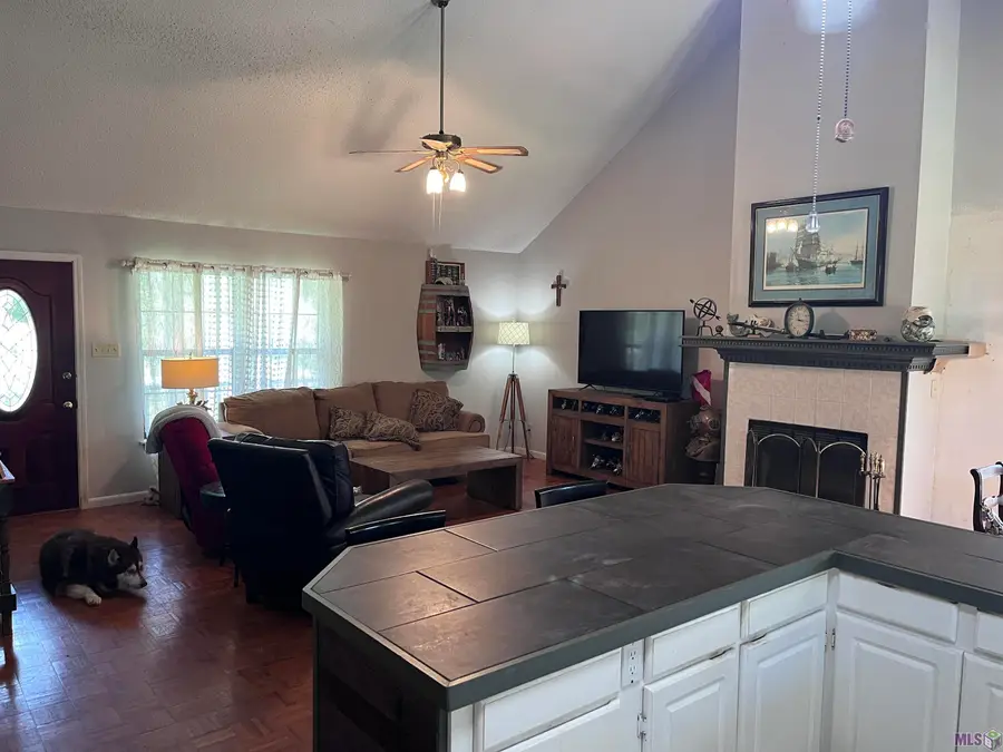 31400 River Pines Dr, Springfield, LA 70462 - Image #3