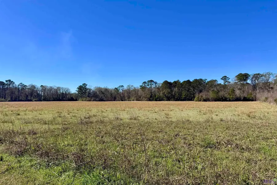 05 Old Hwy 51, Amite, LA 70422 - Image #3