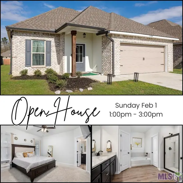 11589 Regal St, Denham Springs, LA 70726