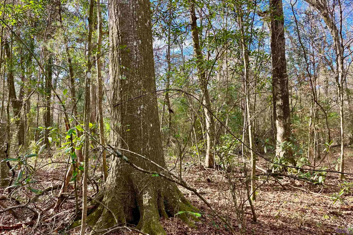 20 Lillian Ln, Ethel, LA 70730 - Image #1