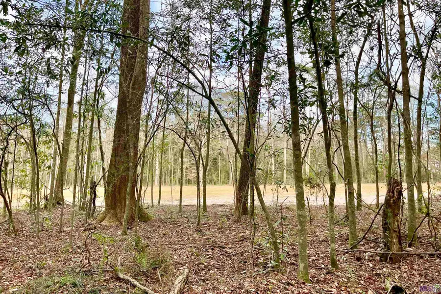 20 Lillian Ln, Ethel, LA 70730 - Image #3