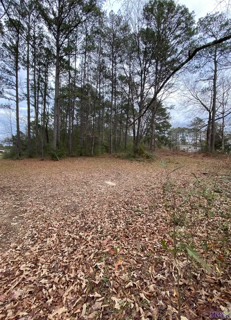 TBD La Hwy 1043, Greensburg, LA 70441 - Image #3