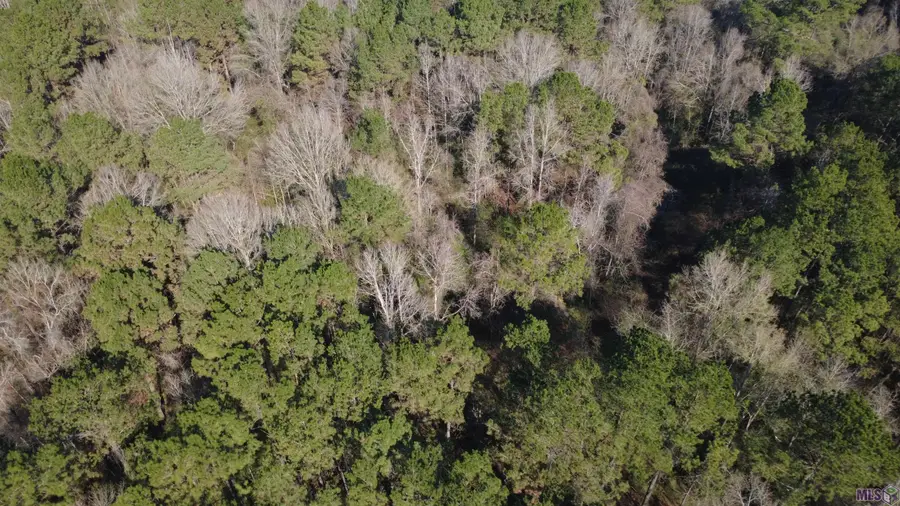 0000 Mcgehee Rd, Bogalusa, LA 70427 - Image #2