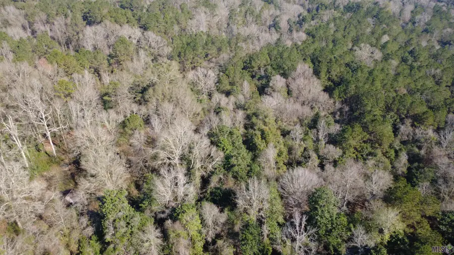 0000 Mcgehee Rd, Bogalusa, LA 70427 - Image #3