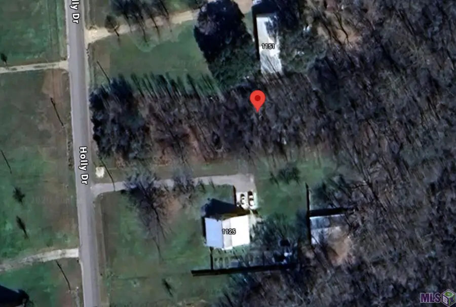 1139 Holly Dr, Slaughter, LA 70777 - Image #2
