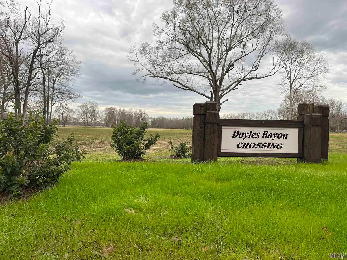 Lemon Rd, Slaughter, LA 70777 - Image #1