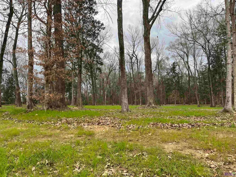 Lemon Rd, Slaughter, LA 70777 - Image #3