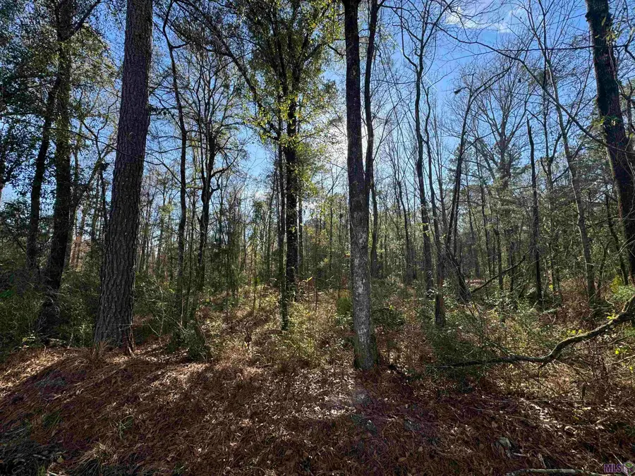 Lot 4-A Joe Lee Rd, Walker, LA 70785 - Image #2