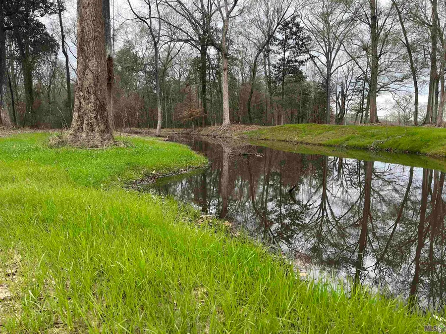 Lemon Rd, Slaughter, LA 70777 - #2