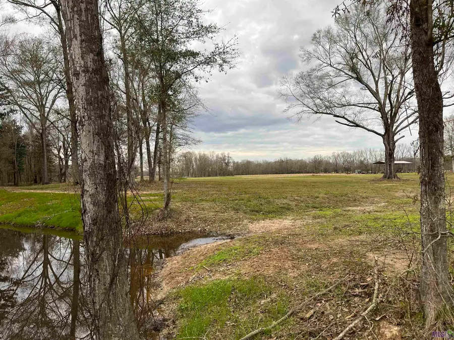 A-1-C Lemon Rd, Slaughter, LA 70777 - #3