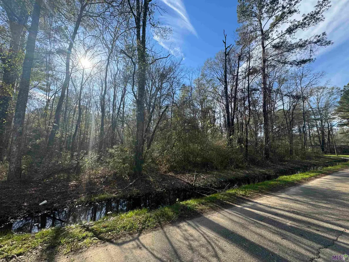 Lot 5-A Joe Lee Rd, Walker, LA 70785 - Image #1