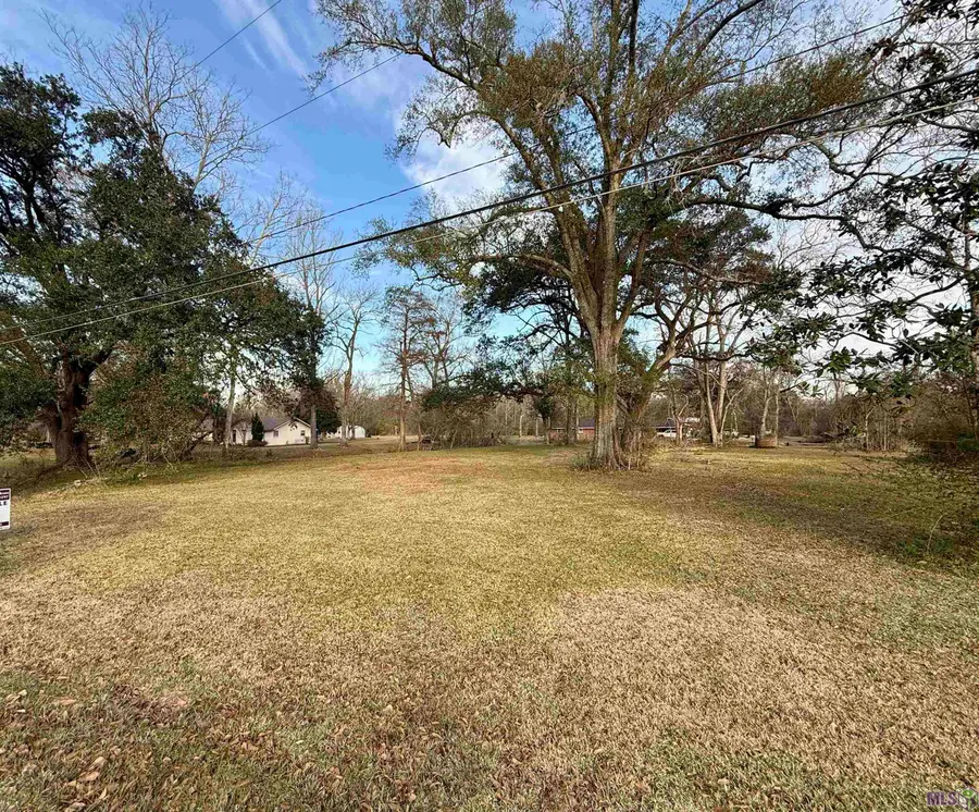 1.14 Acres Savoy Rd, Saint Amant, LA 70774 - Image #3