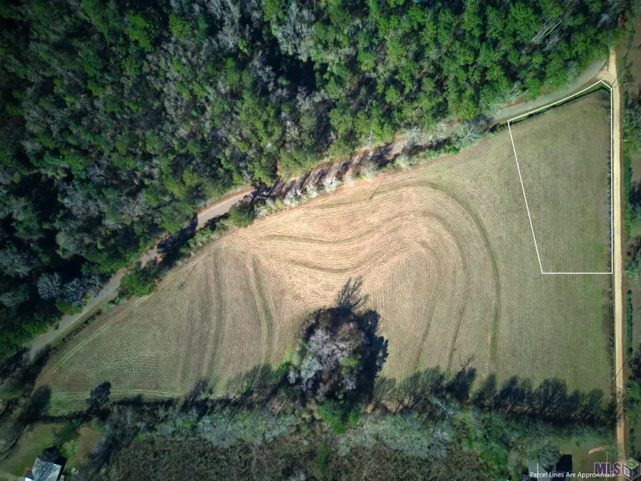 Tract 3 R F Ball Road, Franklinton, LA 70438 - Image #3
