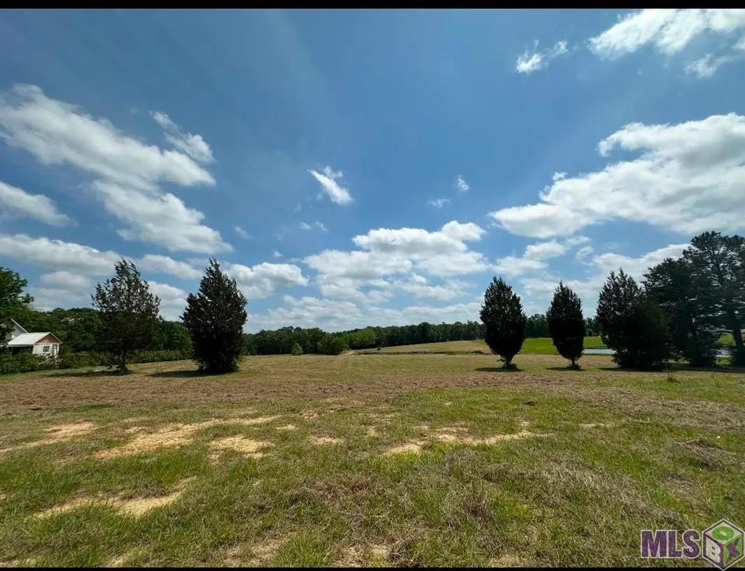 9674 La Hwy 955, Ethel, LA 70730 - #1