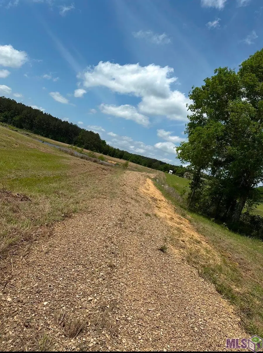 9674 La Hwy 955, Ethel, LA 70730 - #2