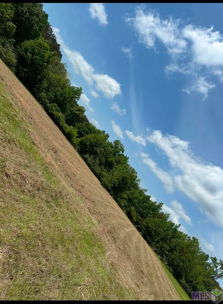 9674 La Hwy 955, Ethel, LA 70730 - #3