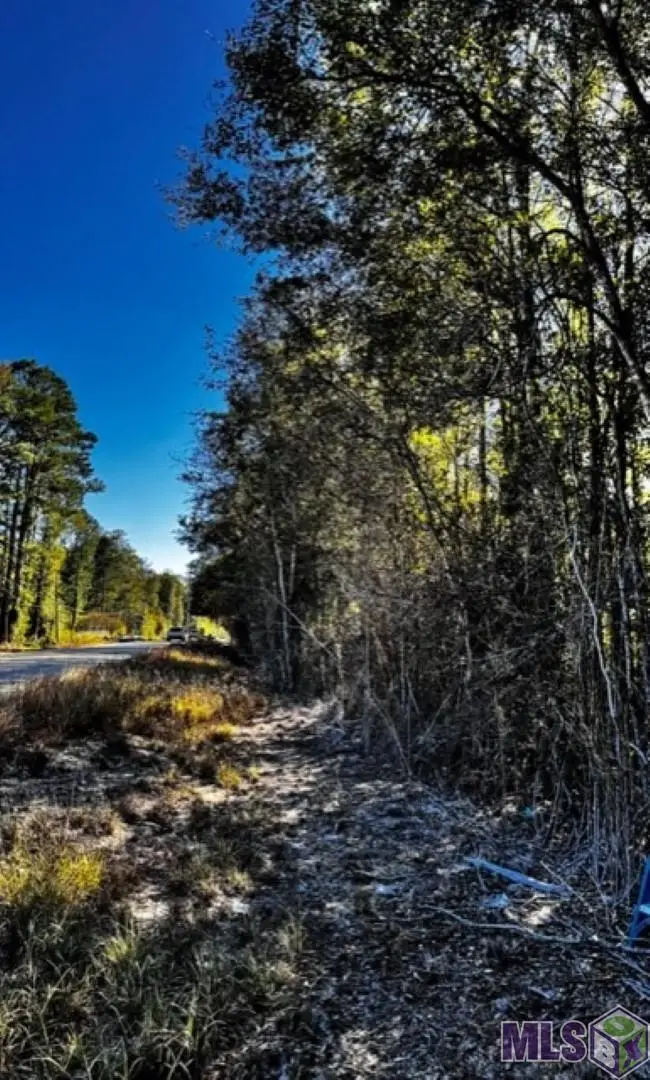 TBD Watkins Rd, Walker, LA 70785 - Image #1