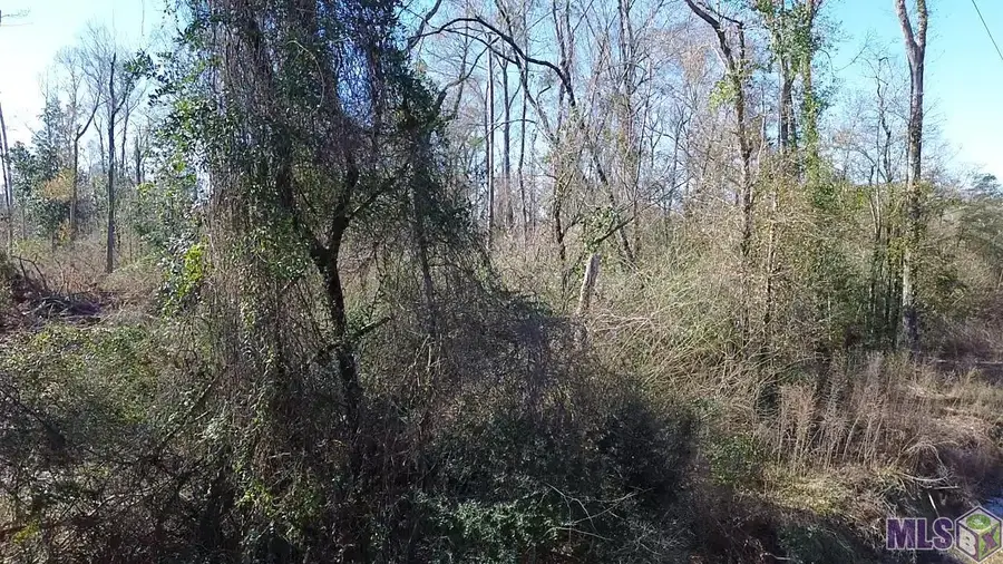 Tract E La Hwy 441, Montpelier, LA 70422 - Image #3