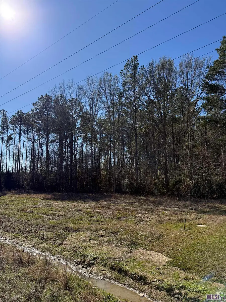 TBD La Hwy 63, Livingston, LA 70754 - #2