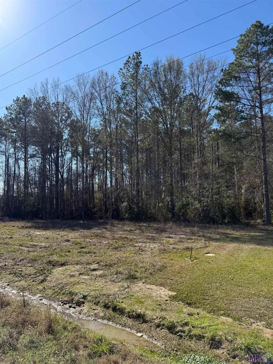TBD La Hwy 63, Livingston, LA 70754 - #3