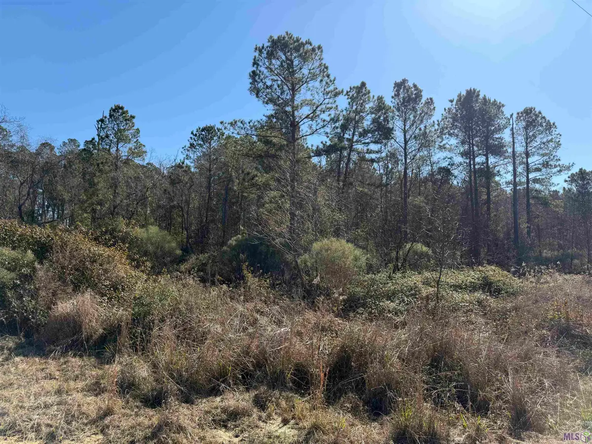 Lot 5-D Texas St, Livingston, LA 70754 - #1