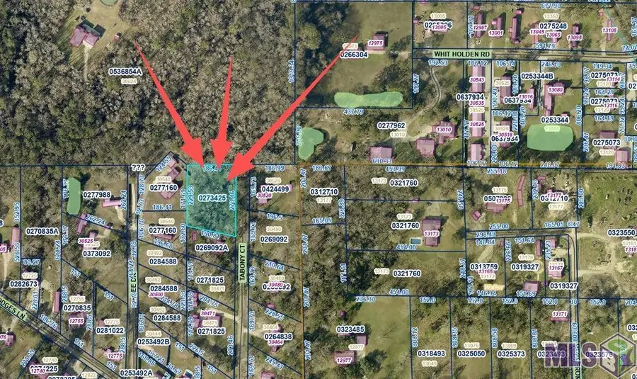 8 Tabony Ct, Walker, LA 70785 - Image #3