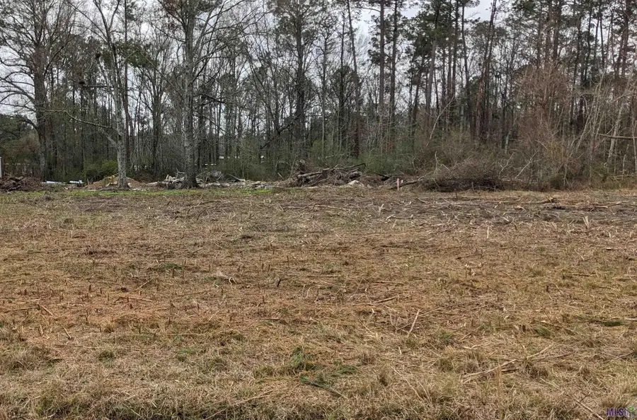 TBD Lakeview Ln, Holden, LA 70744 - #2