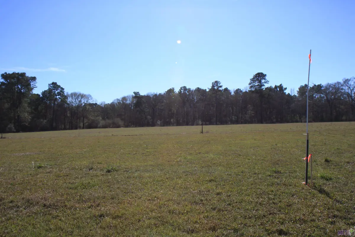 TBD Lot 6 Cook Rd, Slaughter, LA 70777 - #1