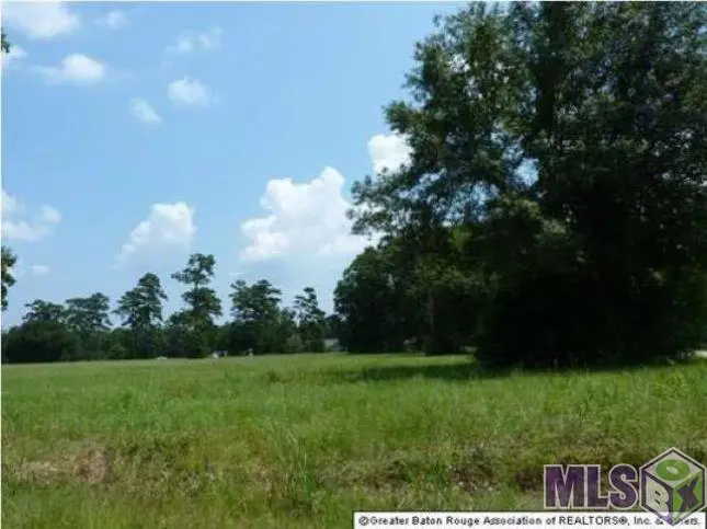 Lot 8 Lynda, Killian, LA 70462 - #1