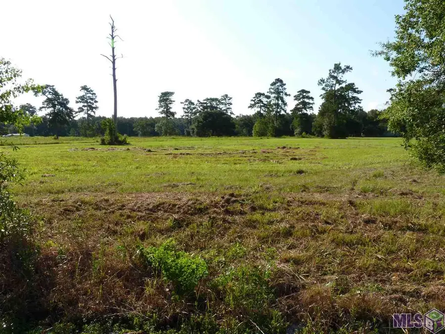 Lot 8 Lynda, Killian, LA 70462 - #2