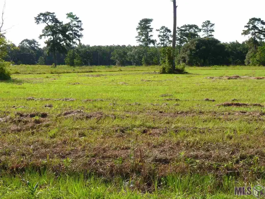 Lot 8 Lynda, Killian, LA 70462 - #3