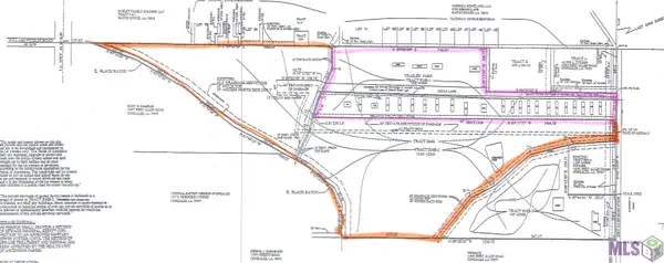 41237 Zeola Ln, Gonzales, LA 70737