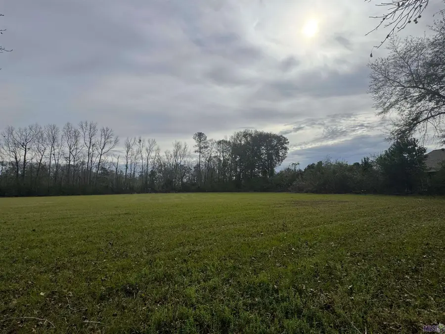 LM-2-A-1-D Ruby Moore Rd, Denham Springs, LA 70706 - #2