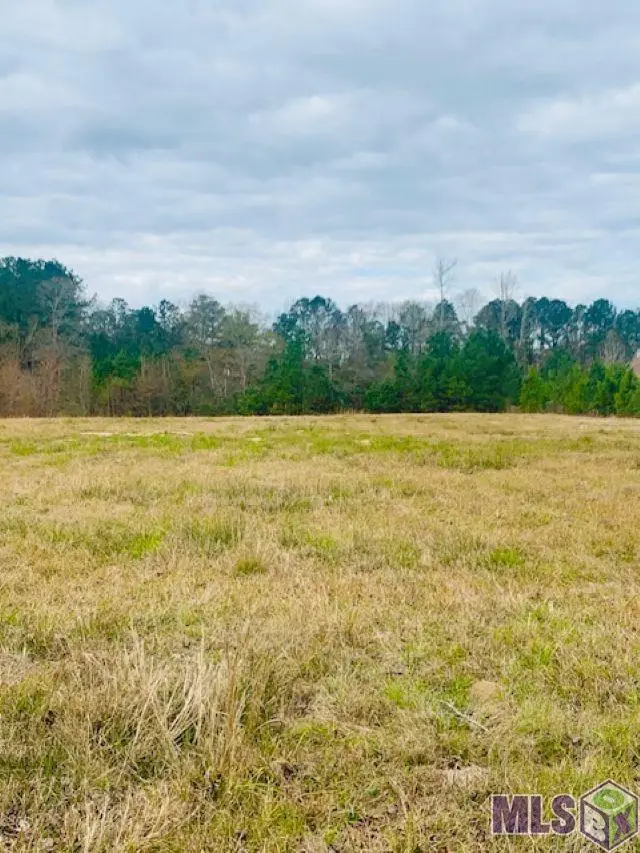 Lot 1 Freeland Rd, Saint Francisville, LA 70775 - #3