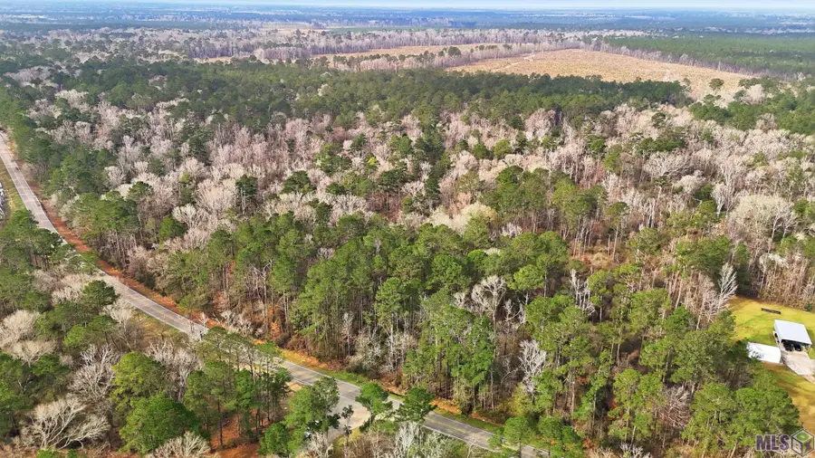 TBD Hwy 449 Highway, Pine Grove, LA 70453 - #3