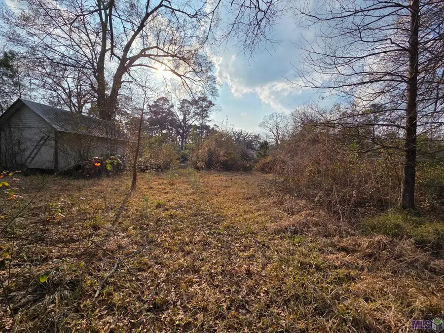 950 Benton Ln, Denham Springs, LA 70726 - #3