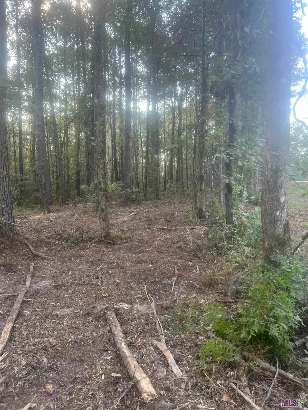 TBD-B2 La Hwy 10, Clinton, LA 70722 - #1